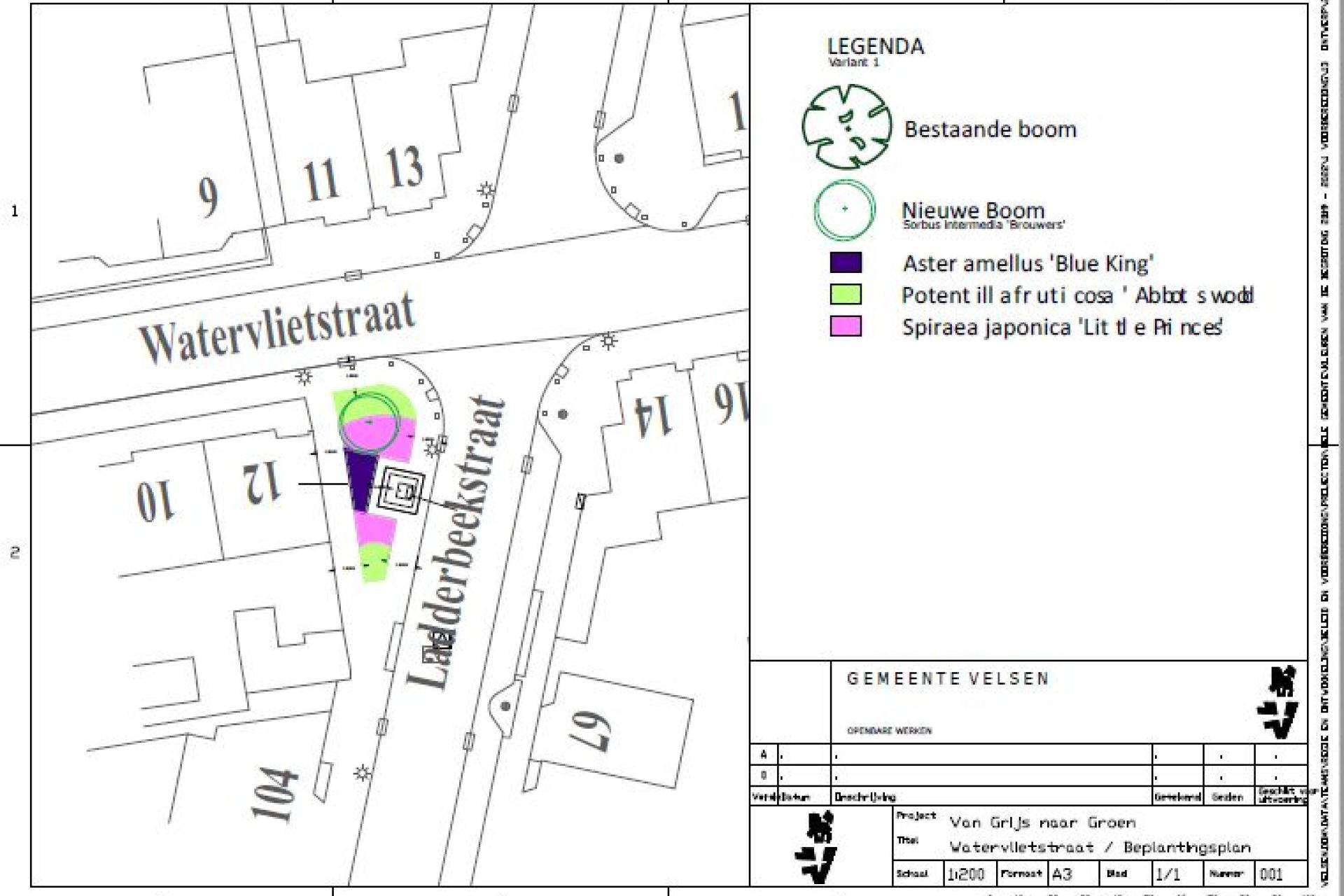 Afbeelding beplantingsplan Watervlietstraat kruising Ladderbeekstraat