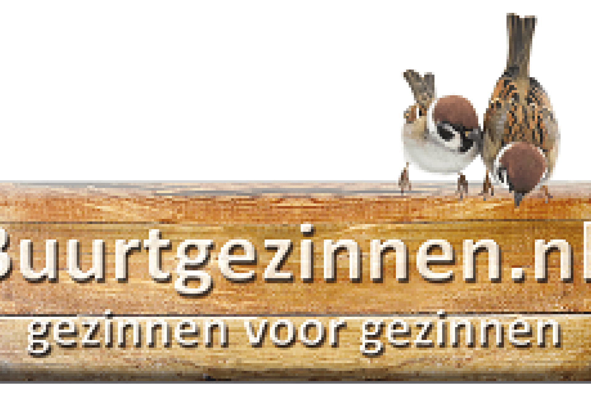 Logo Buurtgezinnen.nl