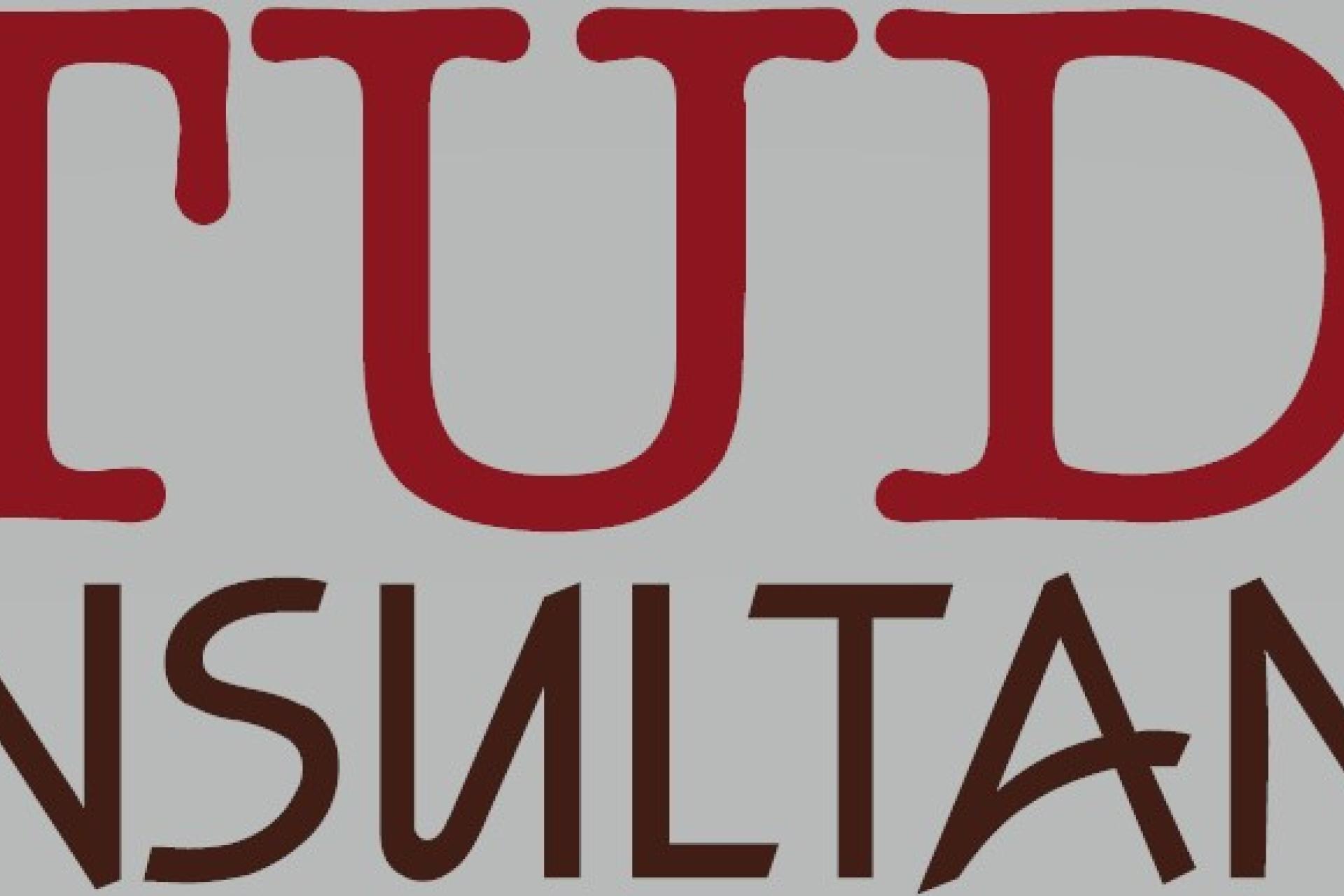 Logo Study consultancy