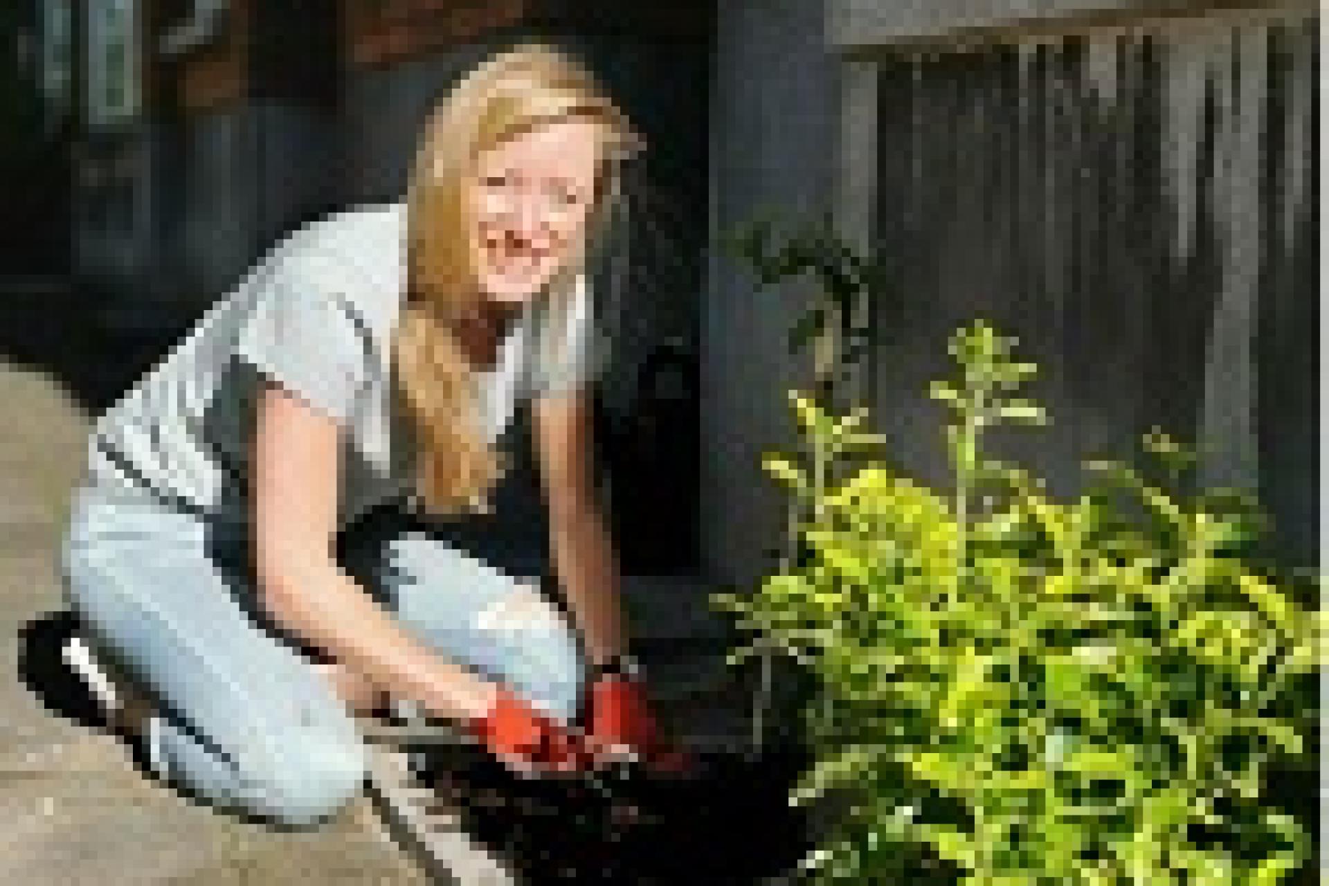 vrouw op haar hurken plant plantjes