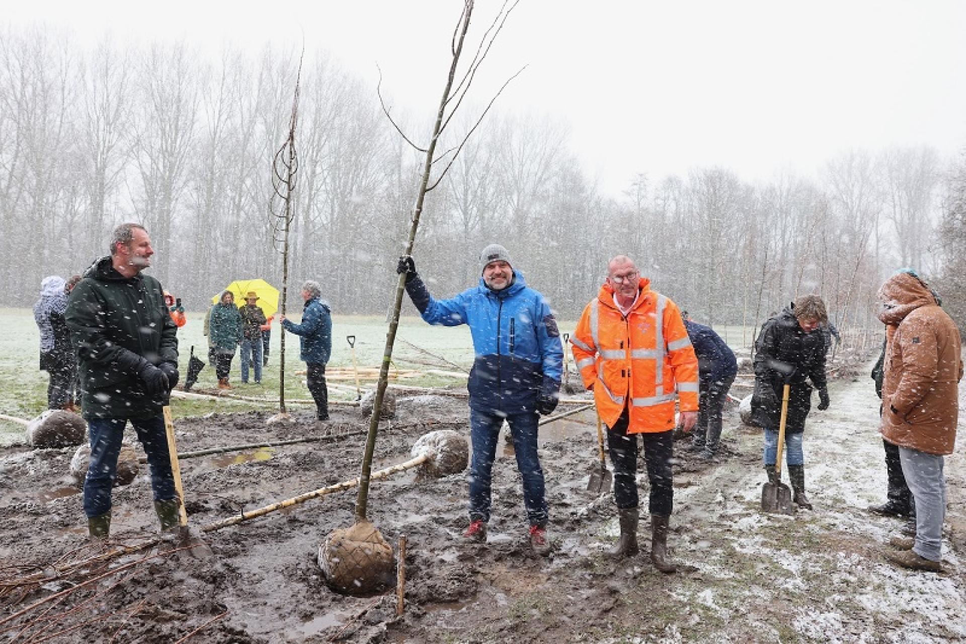 wethouder jeroen verwoort trotseert samen met enkele initiatiefnemers de sneeuw tijdens het planten van een boom
